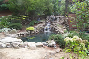 Replacement pond